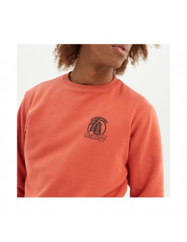 BLUZA HYDROPONIC DBZ COMIC TERRACOTA