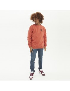 BLUZA HYDROPONIC DBZ COMIC TERRACOTA