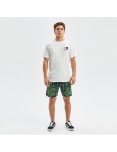 Pantaloni Hydroponic (BoardShort) 17 iconic green
