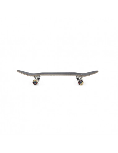 Skate complet Hydroponic mexican skull blue
