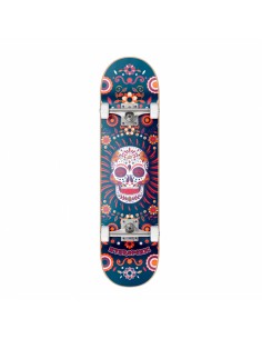 Skate complet Hydroponic mexican skull blue