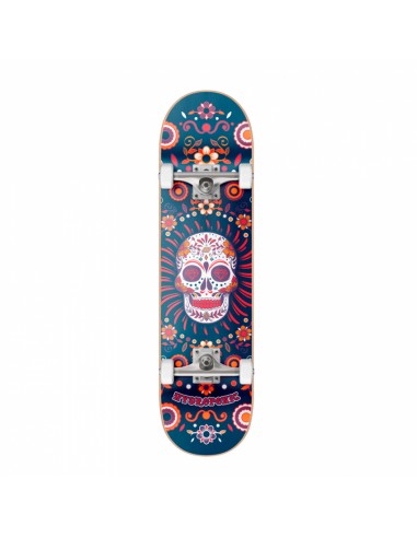 Skate complet Hydroponic mexican skull blue