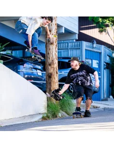 Papuci Etnies locut vulc x werka purple 2