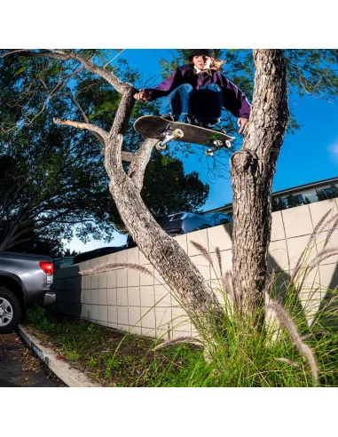 Papuci Etnies locut vulc x werka purple
