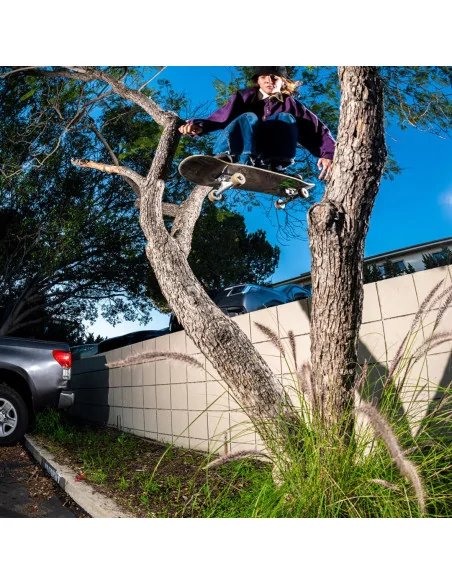 Papuci Etnies locut vulc x werka purple